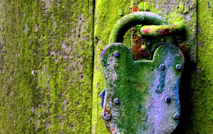 Article Image for AI and Cybersecurity in Business: A Fragile Balance