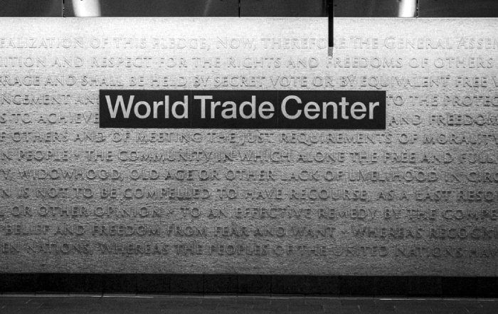 Article Image for Economic Nationalism and Global Trade Networks