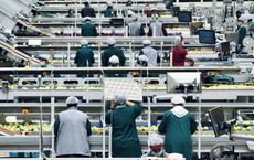 Article Image for Employment Landscapes Transform Through Automation