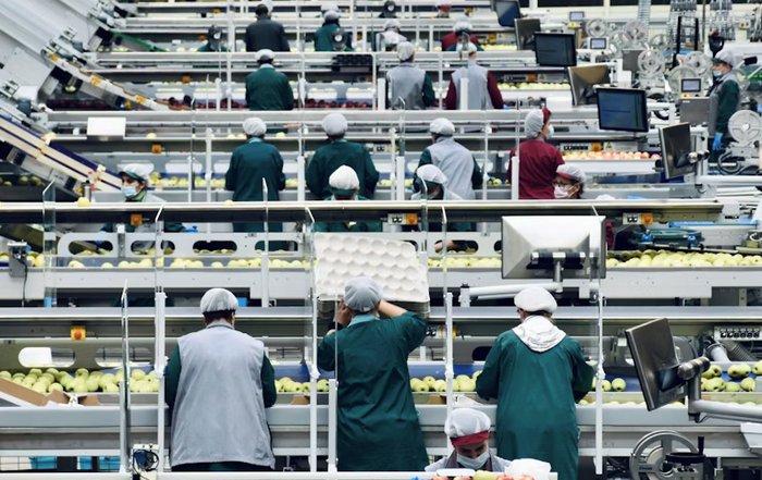 Article Image for Employment Landscapes Transform Through Automation