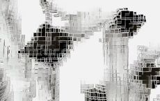 Article Image for Employment Structures Shift with Digital Expansion