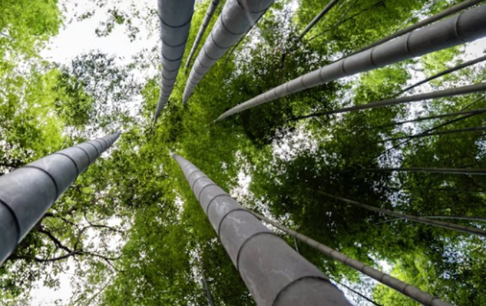 Article Image for Green Finance and Carbon Markets: The New Pillars of Sustainable Growth