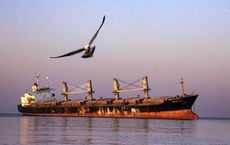 Article Image for Navigating Global Sanctions and Business Operations