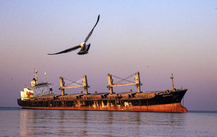 Article Image for Navigating Global Sanctions and Business Operations