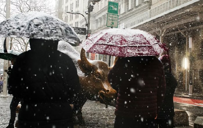 Article Image for Stock Market Listings: Traditional vs. SPAC Routes