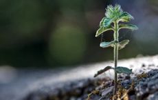 Article Image for Sustainable Business Models Support Long-Term Stability