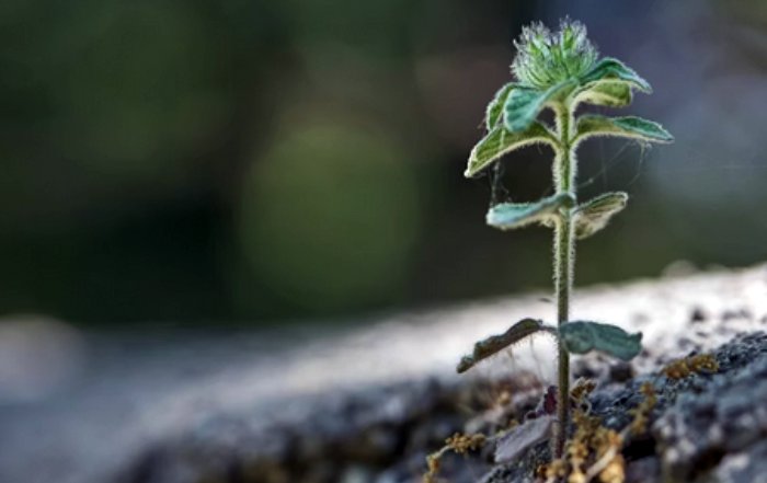 Article Image for Sustainable Business Models Support Long-Term Stability