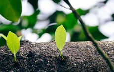 Article Image for Sustainable Business Practices as a Competitive Advantage