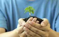 Article Image for Sustainable Growth Aligns Profit and Purpose