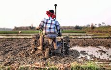 Article Image for Technological Solutions to Food Security Challenges