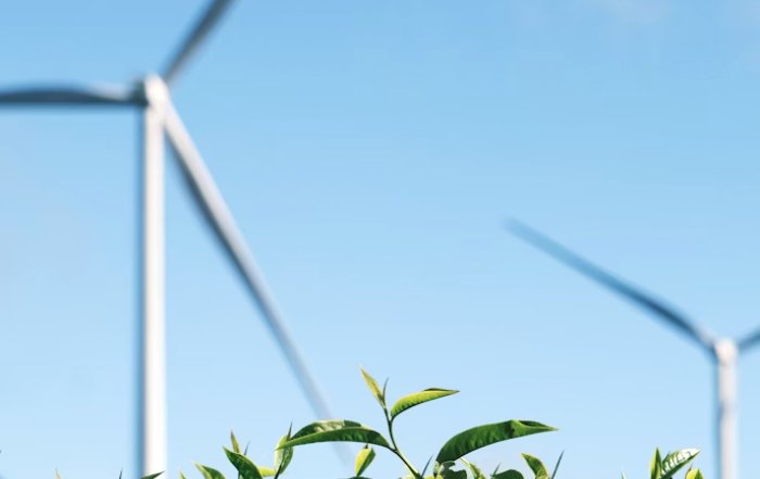 Article Image for The Green Transition and Its Economic Implications